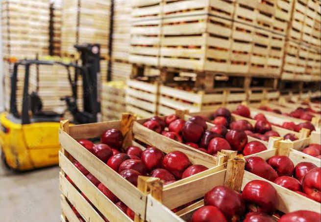 Apple crates in cold storage